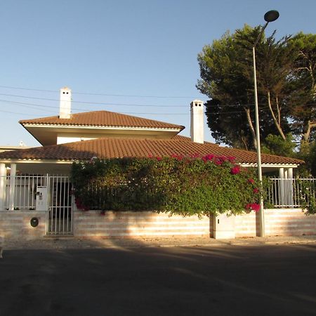 פארדס Go Pt - Private Challet With Swimming Pool And Garden מראה חיצוני תמונה