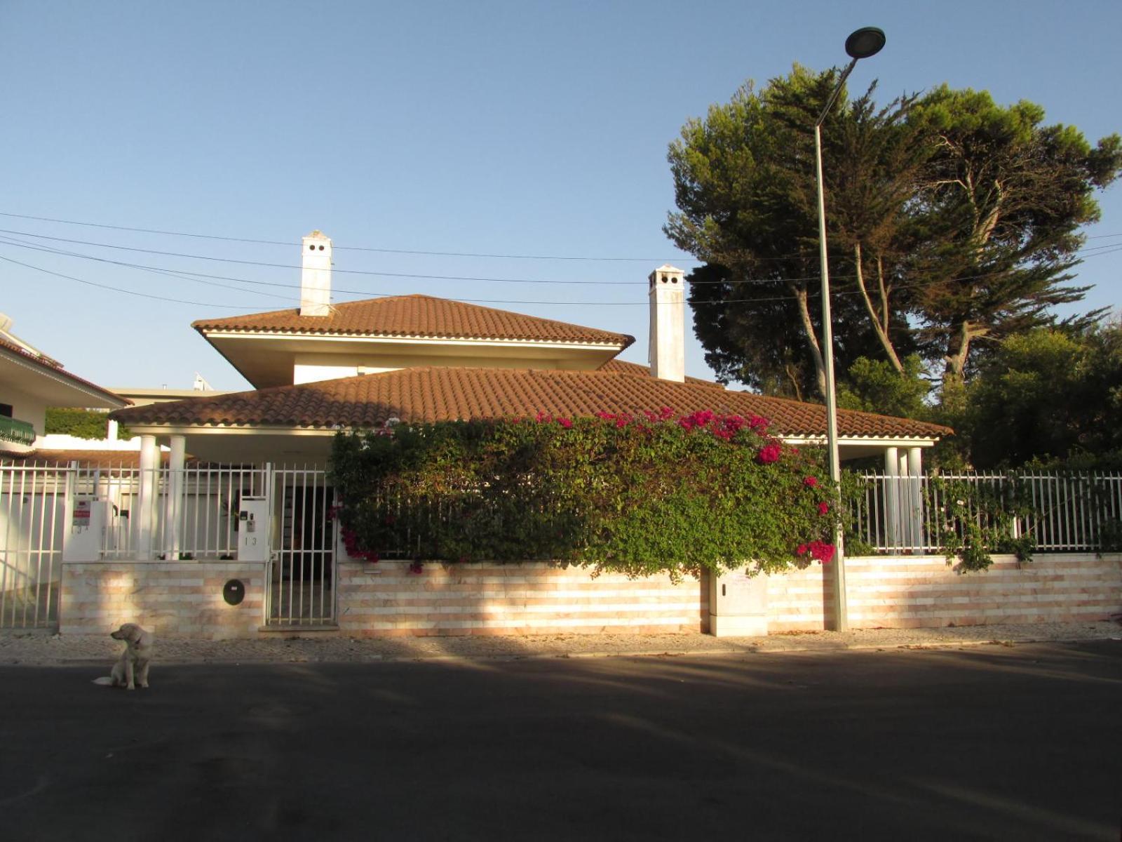 פארדס Go Pt - Private Challet With Swimming Pool And Garden מראה חיצוני תמונה
